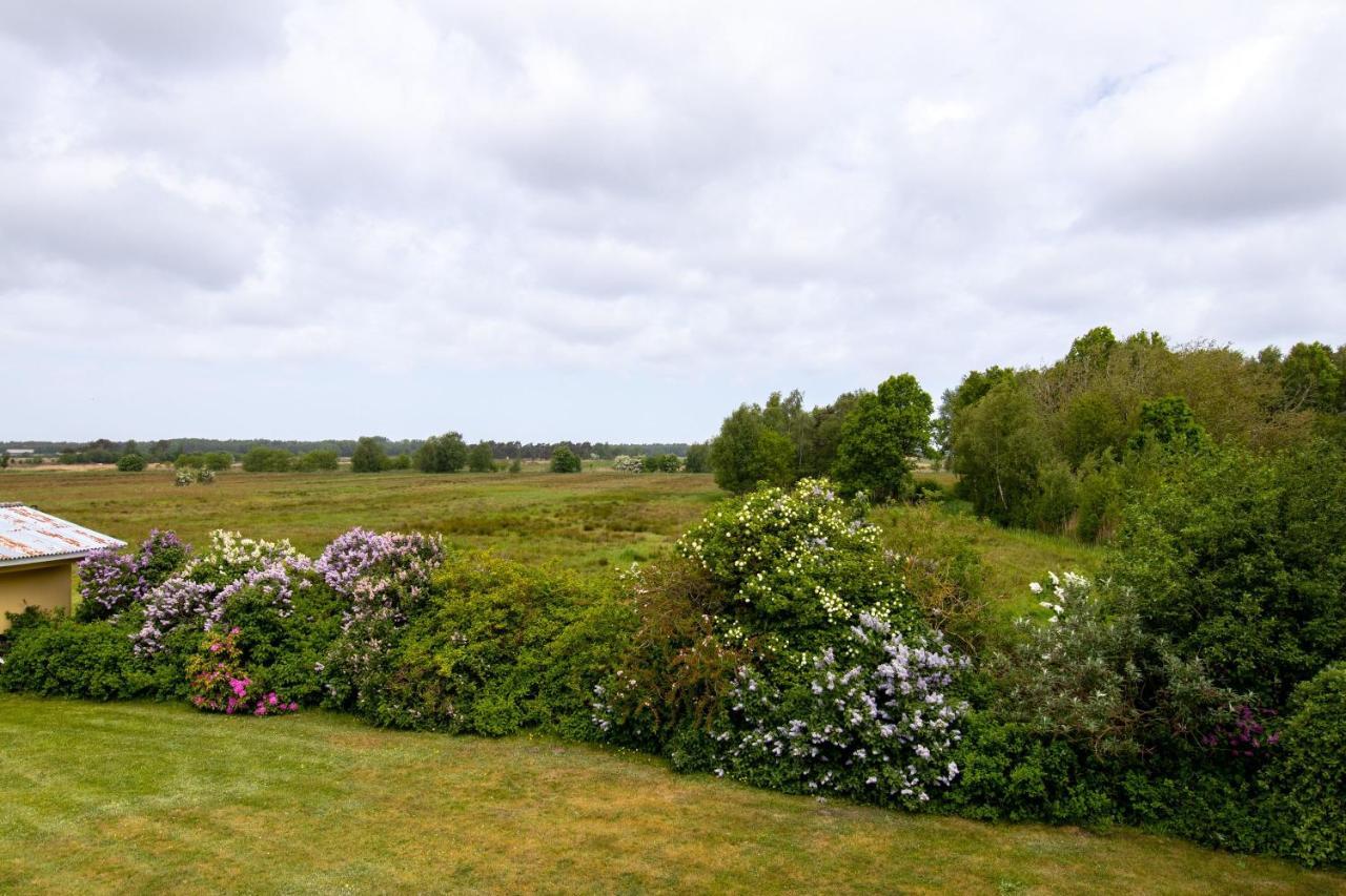 Urlaubs-Appartement Am Dorfrand Wieck auf dem Darss Dış mekan fotoğraf